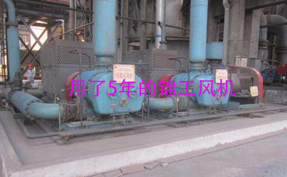 用了5年的脱硫氧化风机